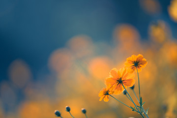 乒乓球旋球怎么接和发？