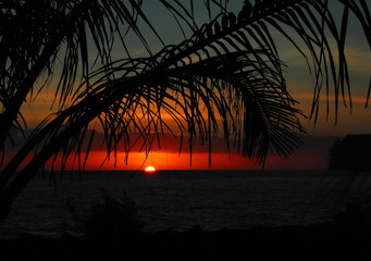 运动安全责任书