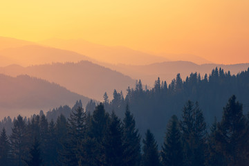 开不烂的国产三款车