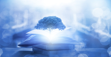 什么是召回-为什么要召回,近几年关于汽车召回的典型事件