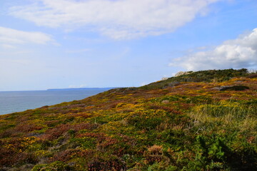 国产汽车到底好不好