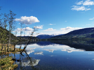 国产汽车到底好不好