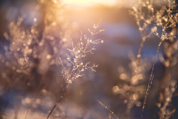 李宁乒乓球短袖国旗开胶怎么搞