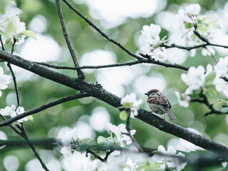 国产车有油漆配方吗