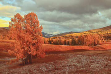 国产车标志有哪些？