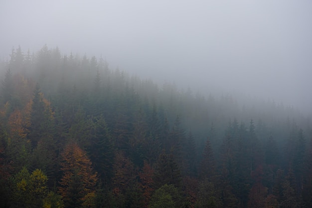 国产车质量差异太大