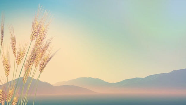 2023年值得买车的三个月份