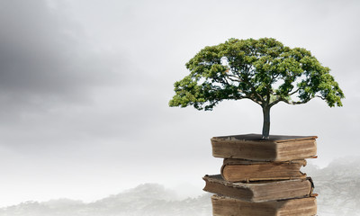 国产车哪个中控好点