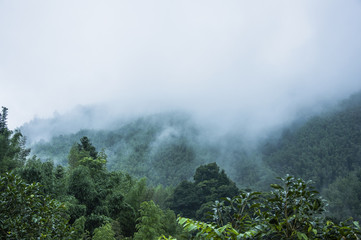 2万左右买什么车好？